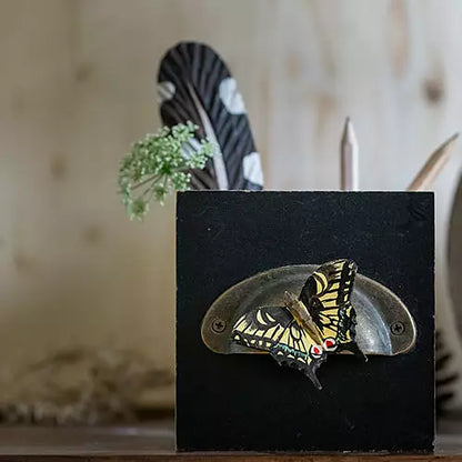 Magnet Riddarfjäril